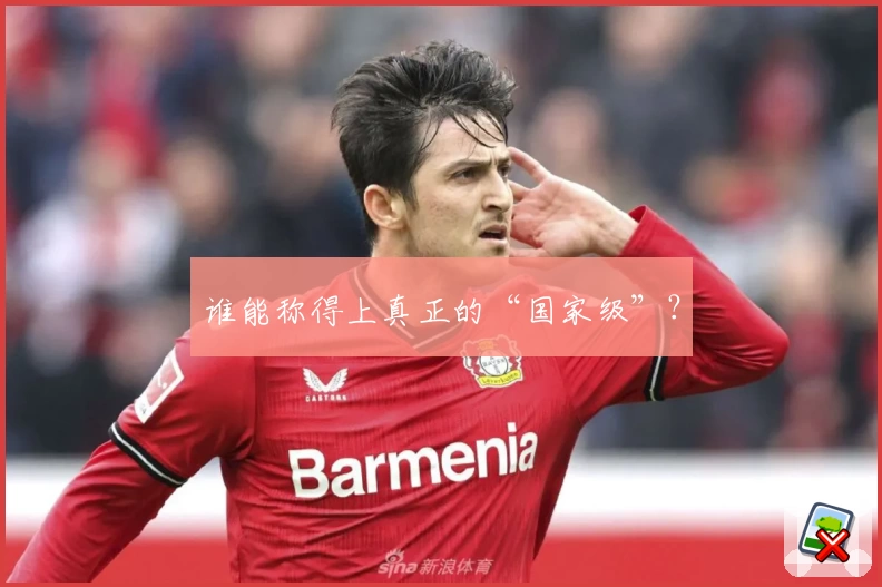 谁能称得上真正的“国家级”？