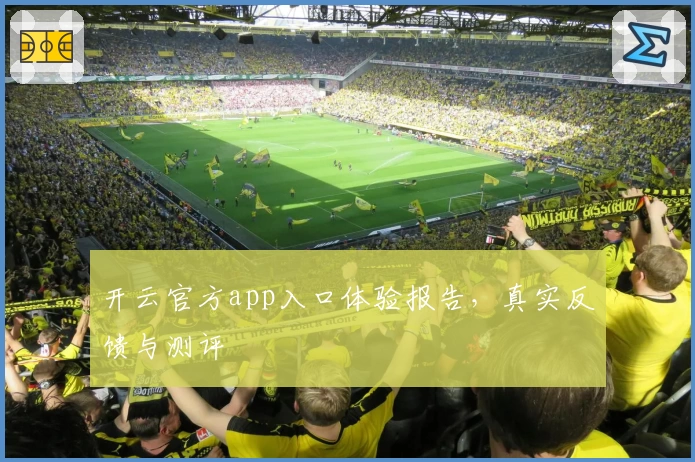 开云官方app入口体验报告,真实反馈与测评