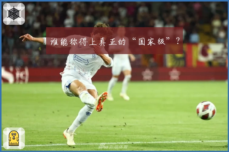 谁能称得上真正的“国家级”？